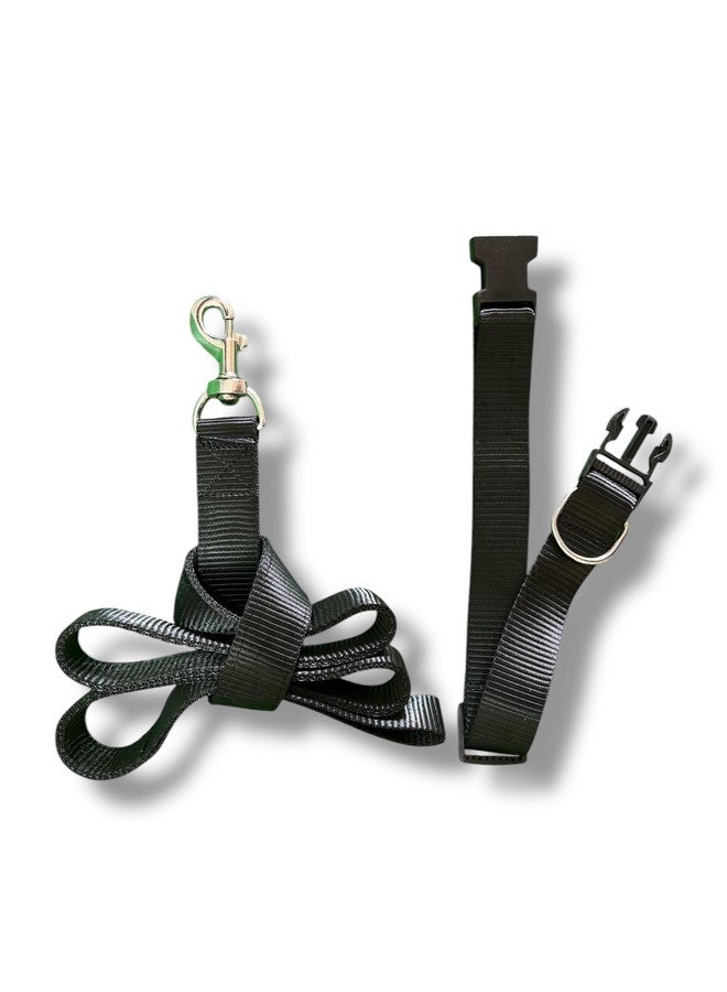W Heavy-Duty Dog Harness, Collar & Leash Set - Premium Nylon, Sturdy Buckle & D-Ring, Well-Stitched for Long-Lasting Durability (Medium, Collar + Leash) - Image 1